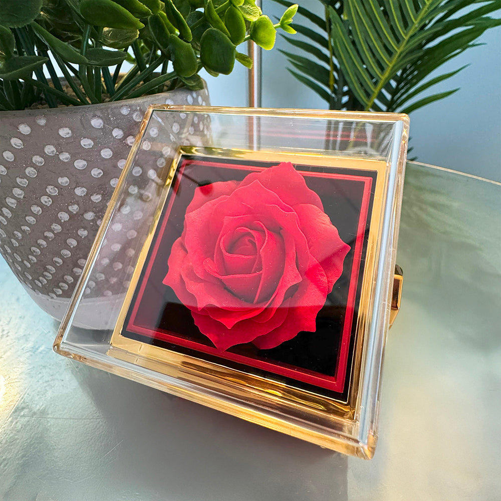 Promise Gift from Her Valentine.